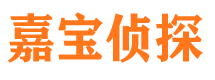 登封市侦探公司